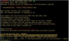 linux系统的特点(linux系统的隐患)