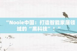 “Nooie中国：打造智能家居领域的“黑科技”！”