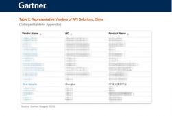 瑞数信息入选Gartner中国API领域代表厂商！