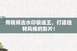 用视频去水印极速王，打造独特风格的影片！