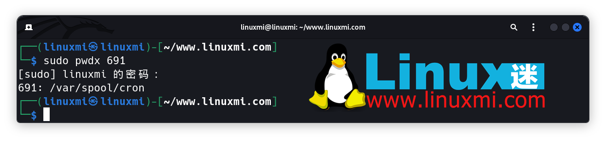 有趣的宝藏！六个独特而惊人的 Linux 实用工具