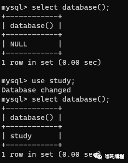跟哪吒学MySQL—DDL与DML语句