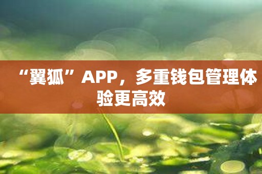 “翼狐”APP，多重钱包管理体验更高效