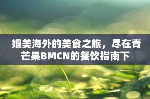 媲美海外的美食之旅，尽在青芒果BMCN的餐饮指南下