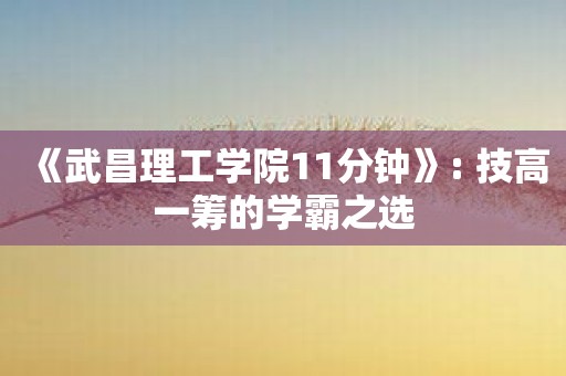 《武昌理工学院11分钟》: 技高一筹的学霸之选