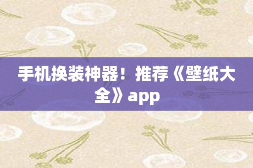 手机换装神器！推荐《壁纸大全》app