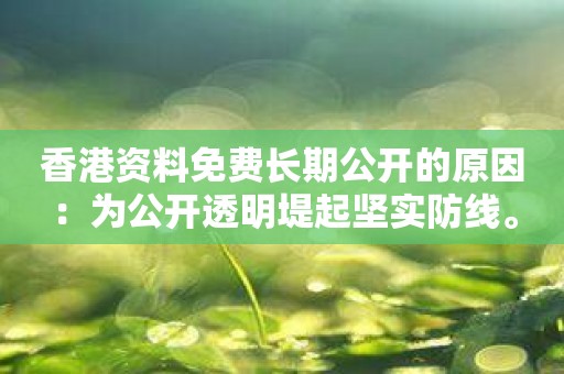 香港资料免费长期公开的原因：为公开透明堤起坚实防线。