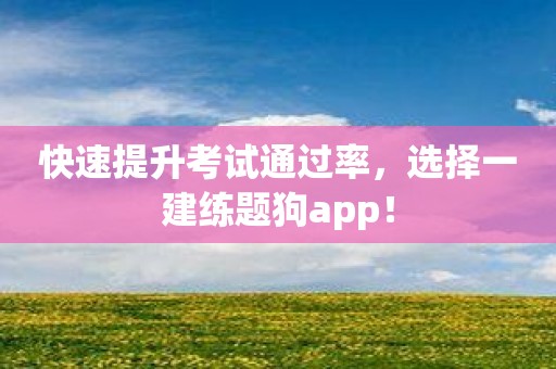 快速提升考试通过率，选择一建练题狗app！