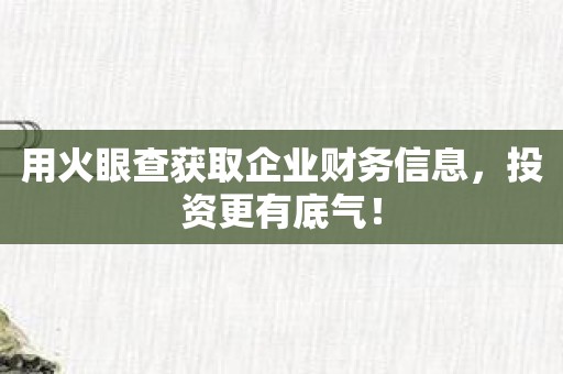 用火眼查获取企业财务信息，投资更有底气！