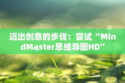 迈出创意的步伐：尝试“MindMaster思维导图HD”