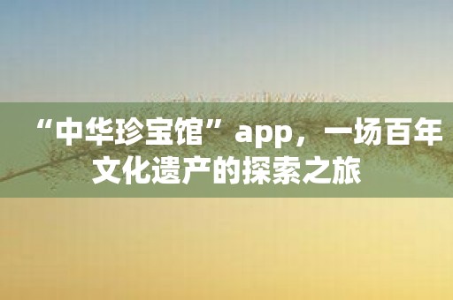 “中华珍宝馆”app，一场百年文化遗产的探索之旅