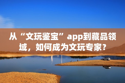 从“文玩鉴宝”app到藏品领域，如何成为文玩专家？