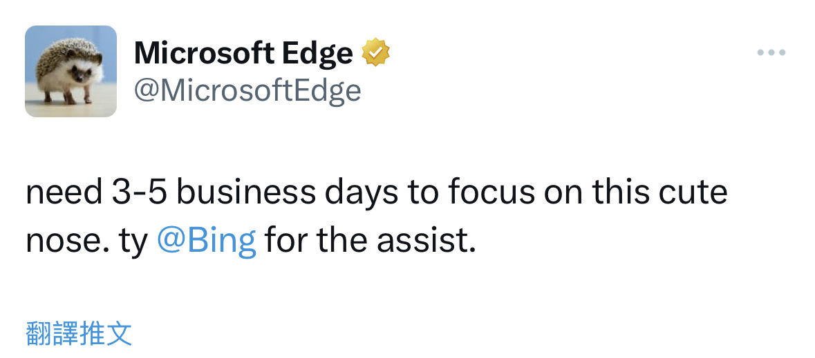 微软 Edge 浏览器吉祥物“EdgeHog”亮相：一只可爱的小刺猬