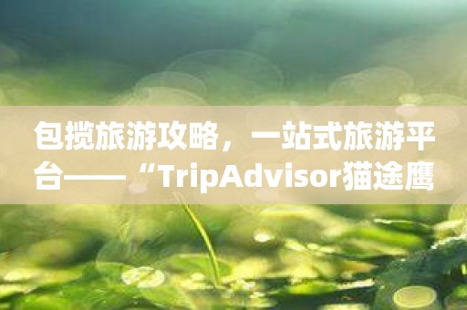 包揽旅游攻略，一站式旅游平台——“TripAdvisor猫途鹰”