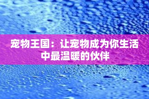 宠物王国：让宠物成为你生活中最温暖的伙伴