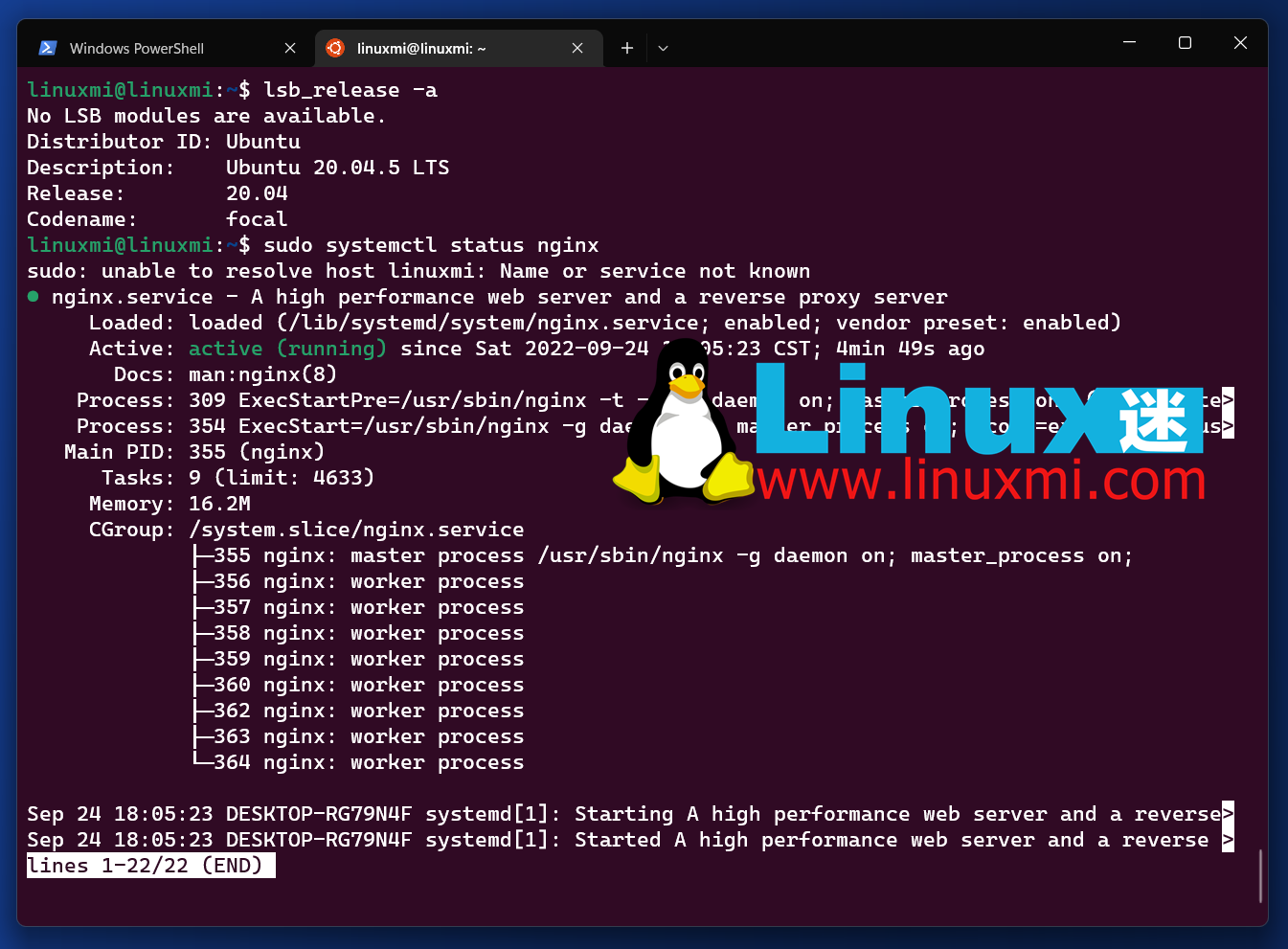 何时应该考虑使用 WSL 而不是标准 Linux 发行版？