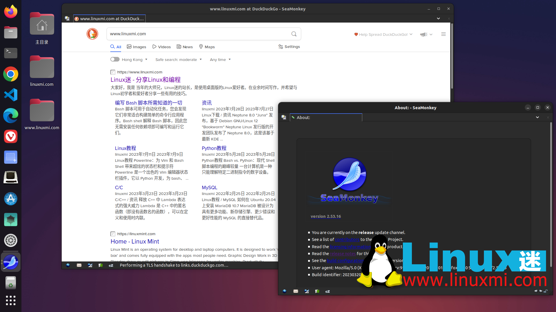 六款鲜为人知的适用于 Linux 的备选网络浏览器