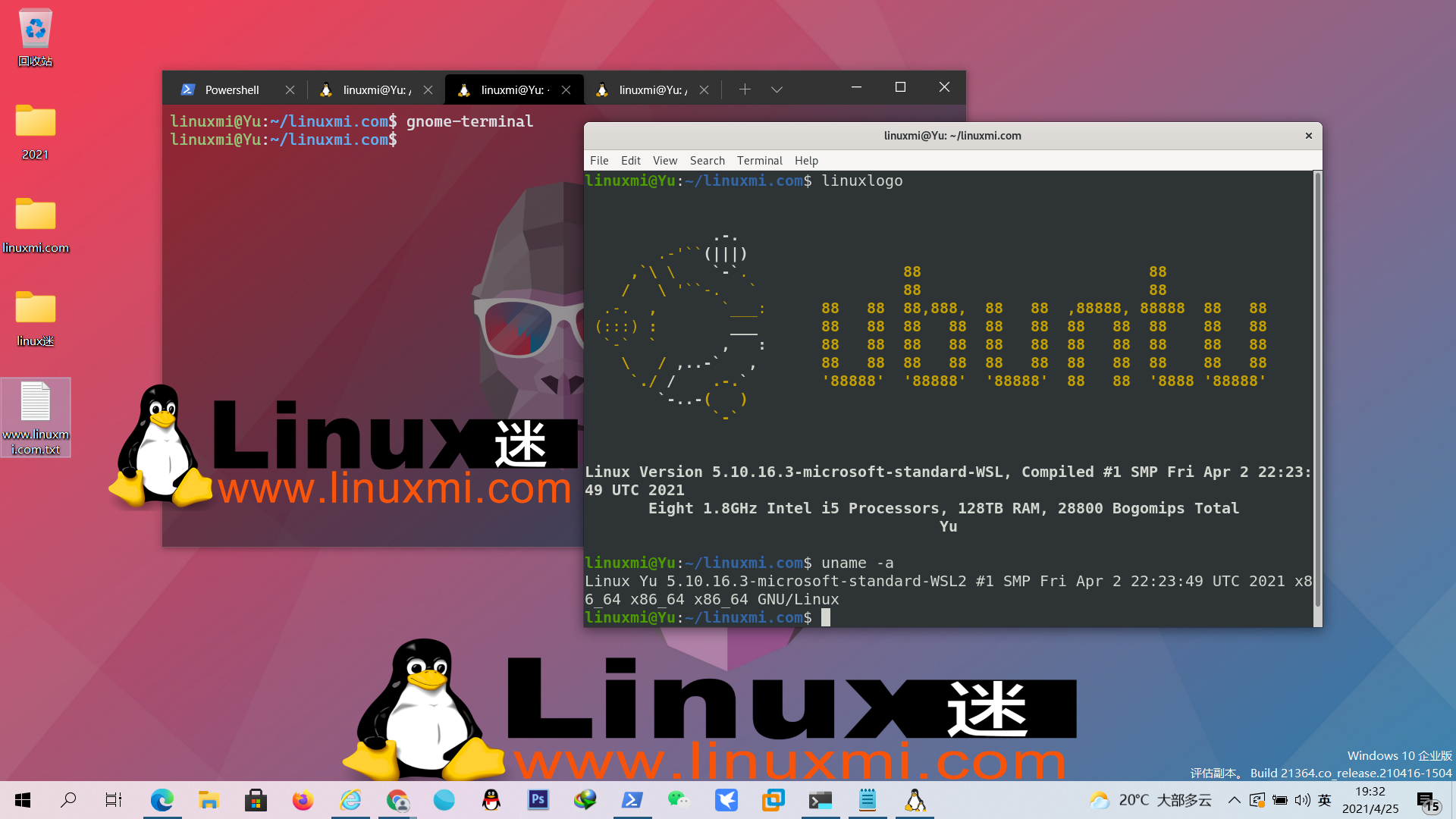 何时应该考虑使用 WSL 而不是标准 Linux 发行版？