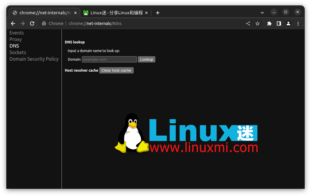 如何在 Linux 上查看和刷新 DNS 缓存