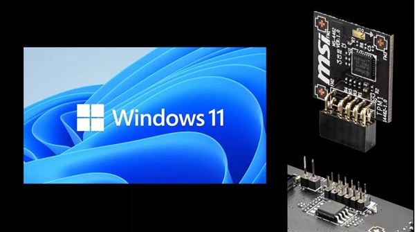 微软 Windows 11 Dev 预览版 Build 23555 发布，修复多项崩溃问题
