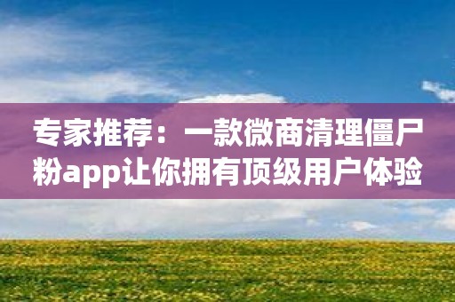 专家推荐：一款微商清理僵尸粉app让你拥有顶级用户体验！