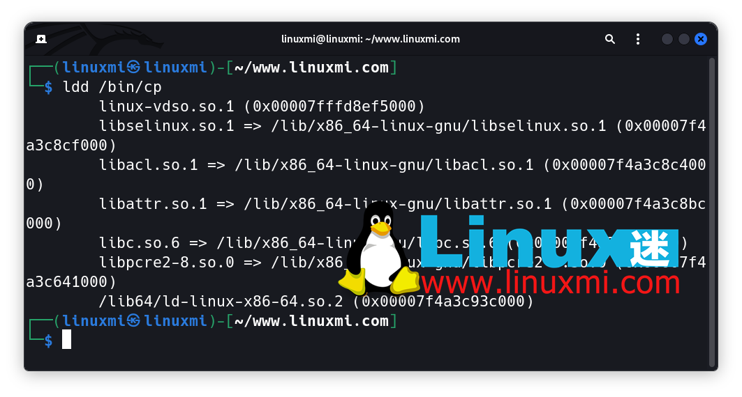 像专业人士一样在 Linux 上使用 ldd 命令管理软件包依赖关系