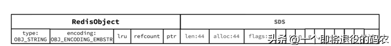 浅析 Redis 中 String 数据类型及其底层编码