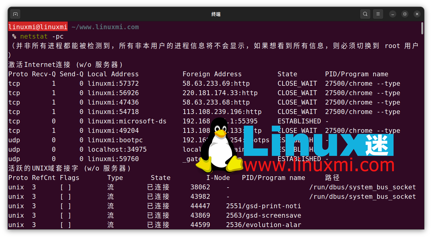 如何监控 Linux 上进程的网络使用情况