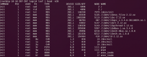 Linux lsof 命令使用详细说明