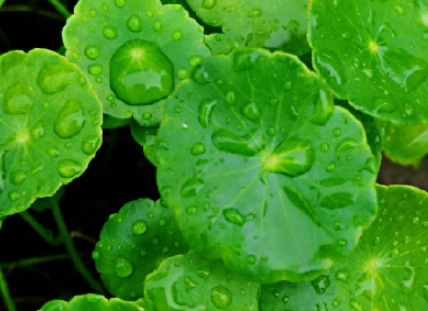 下雨天唯美心情说说 原来天气和我一样不开心