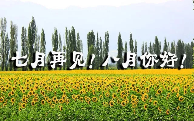 八月你好文字图片唯美风景 2019带英文的八月你好文字图片