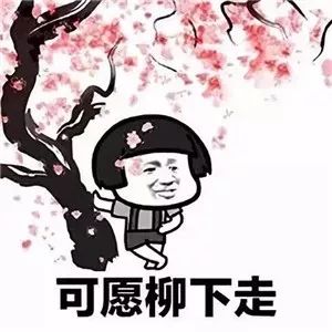 我的将军啊表情包搬砖版 狼烟风沙口我在工地搬砖头