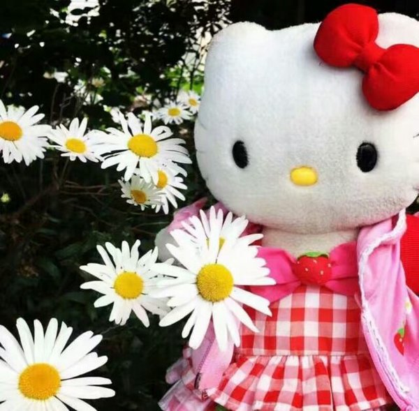 少女心爆棚的hello kitty猫的图片 我超能力很多不止超可爱