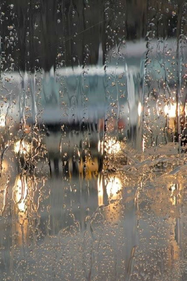 下雨天的风景图片壁纸 却如何一夕桃花雨下