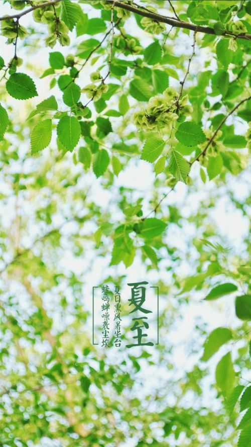 夏日风景图片花草微信壁纸大全 夏日里的清凉风景图片