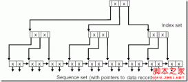 Oracle 11g Release (11.1) 索引底层的数据结构