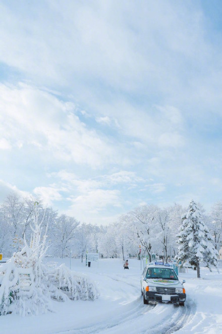 北海道大学雪景雪景手机壁纸图片唯美 藏不住的喜欢理直气壮就好