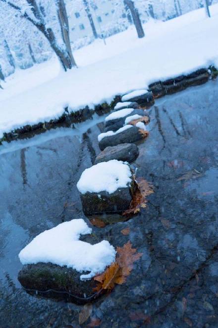 北海道大学雪景雪景手机壁纸图片唯美 藏不住的喜欢理直气壮就好