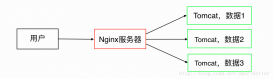 详解Nginx + Tomcat 反向代理 负载均衡 集群 部署指南