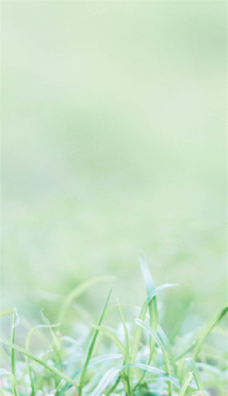 治愈系自然风景壁纸图片高清 夏日清新风景手机壁纸