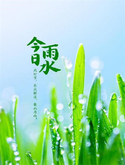 2020雨水带字图片唯美高清 雨水微信朋友圈配图