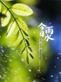 2020雨水带字图片唯美高清 雨水微信朋友圈配图