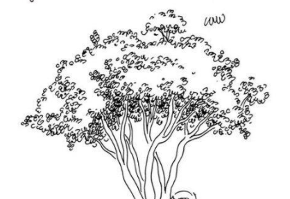 qq画图红包灌木如何画灌木的画法
