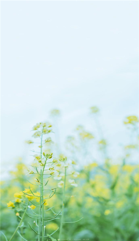 四月手机壁纸高清风景图 十分唯美好看的风景壁纸