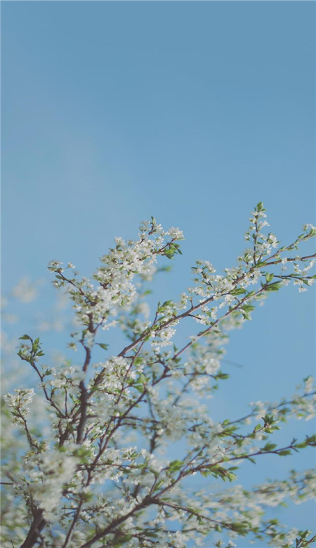 四月手机壁纸高清风景图 十分唯美好看的风景壁纸