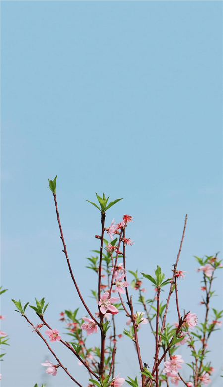 四月手机壁纸高清风景图 十分唯美好看的风景壁纸