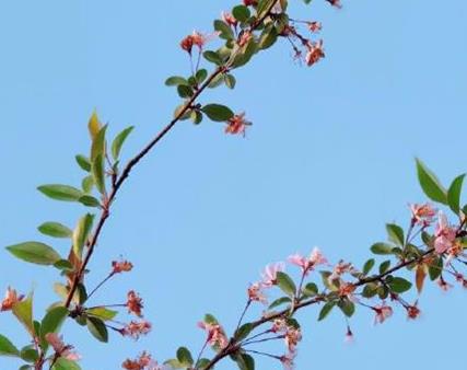 治愈系壁纸唯美高清 好看的风景壁纸图片有意境