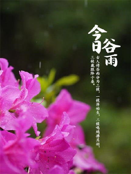 二十四节气谷雨图片带字 2020谷雨风景图片唯美好看