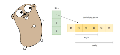 如何在Go中使用切片容量和长度