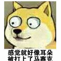 关于英语听力的学生党doge表情包 为什么英语有听力